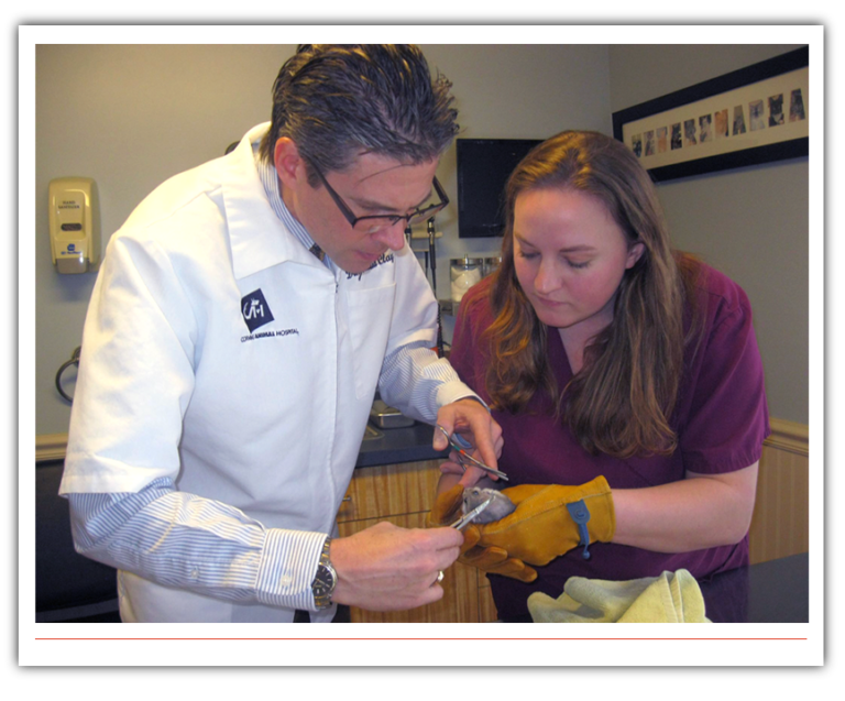 Corning, NY Veterinarian Dr. Joshua Clay Owner Corning Animal Hospital