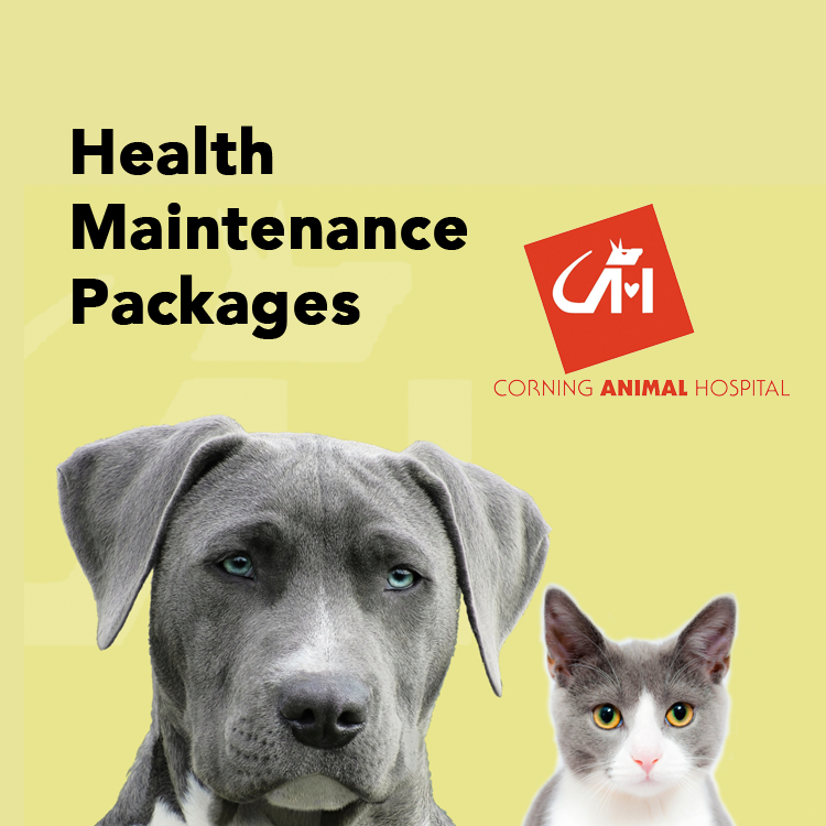 Animal Health Care Maintenance Packages - Corning Animal Hospital