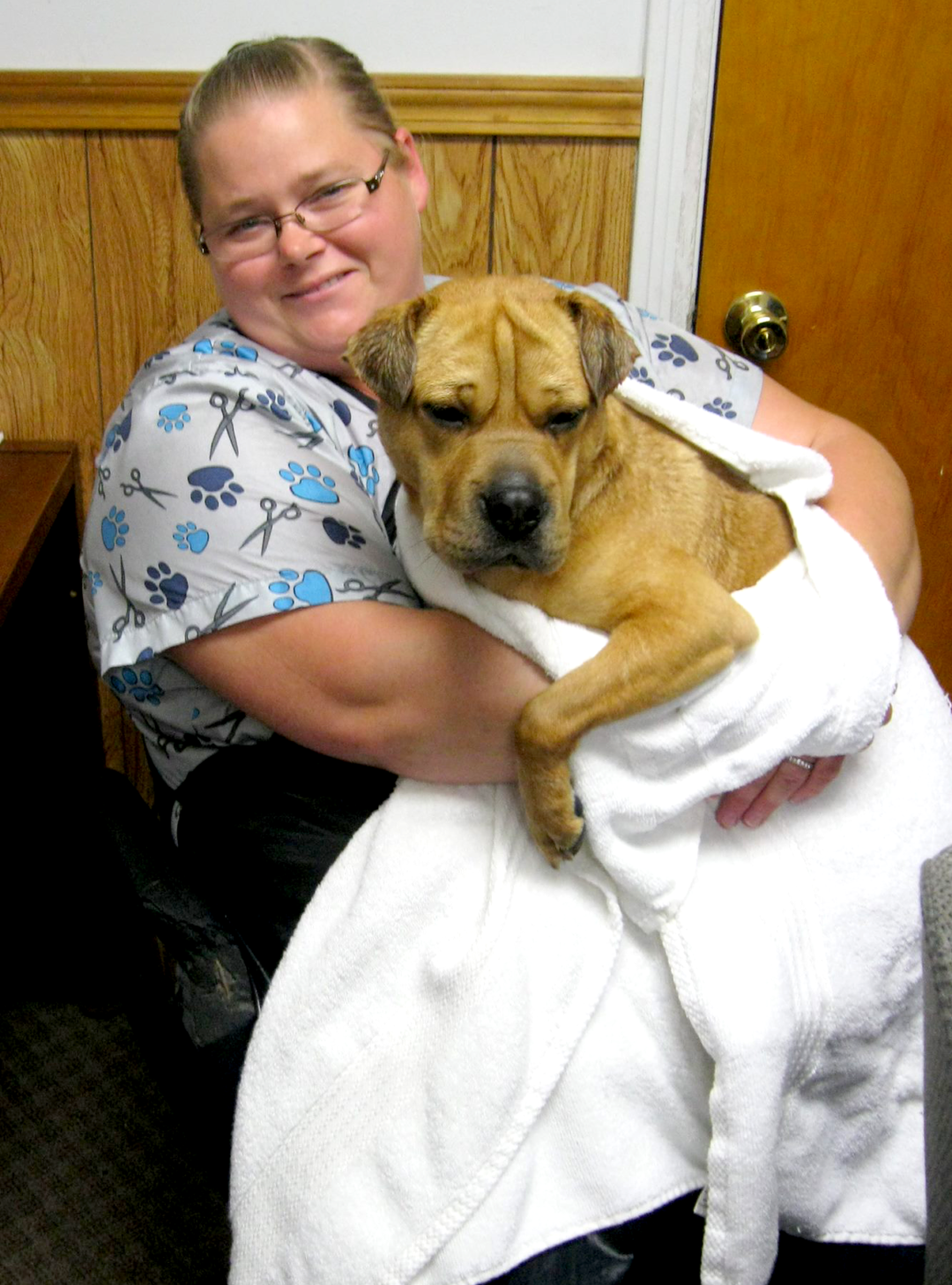 Professional Pet Grooming Services Corning NY Corning Animal Hospital